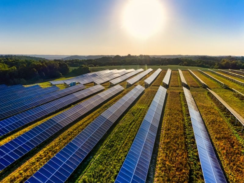 Placas Solares e Armazenamento de Energia: A Dupla Perfeita
